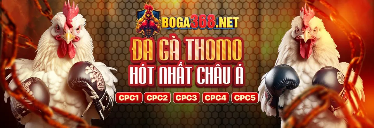 Tin tức nổi bật 388bet về link vào