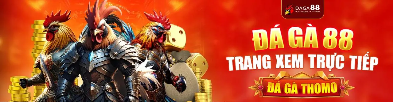 Đấu trường đá gà trực tuyến 388bet